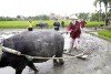 Những tour du lịch thú vị ở Hội An
