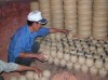 MỘT SỐ GIÁ TRỊ VĂN HÓA NGHỀ TRUYỀN THỐNG Ở HỘI AN