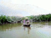 Huyền thoại một dòng sông
