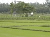 MỘ TỔ TỘC LÊ - THÔN 5 - CẨM THANH