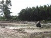 Về Hội An ngắm dừa Bảy Mẫu