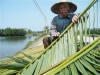 Giải pháp kinh tế sinh thái thích ứng biến đổi khí hậu
