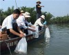 Thả 2 triệu con tôm sú giống ra môi trường tự nhiên