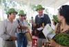 Theo tour "lạ" ngắm dừa nước