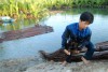 Phục sinh nhà cho người nghèo