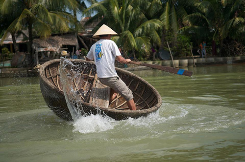 rừng dừa bảy mẫu