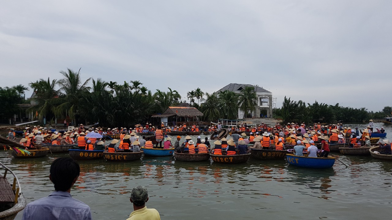 Tour rừng dừa bảy mẫu