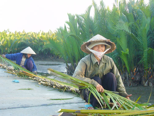 Xã Cẩm Thanh chung sức ươm mầm phần I